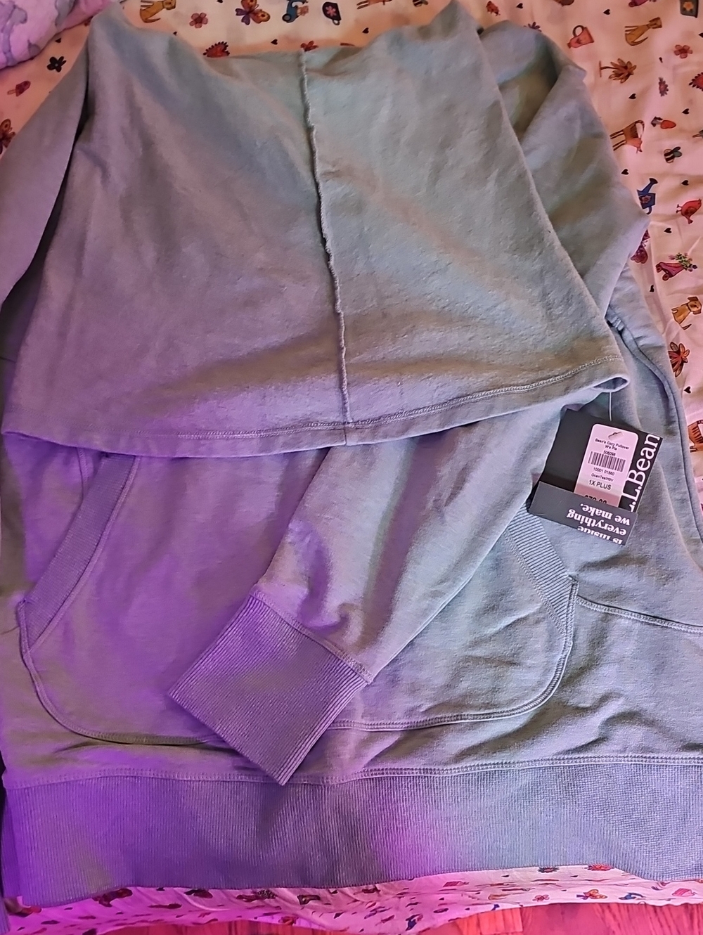L.L. Bean Womens Cozy Pullover With Funnel Neck